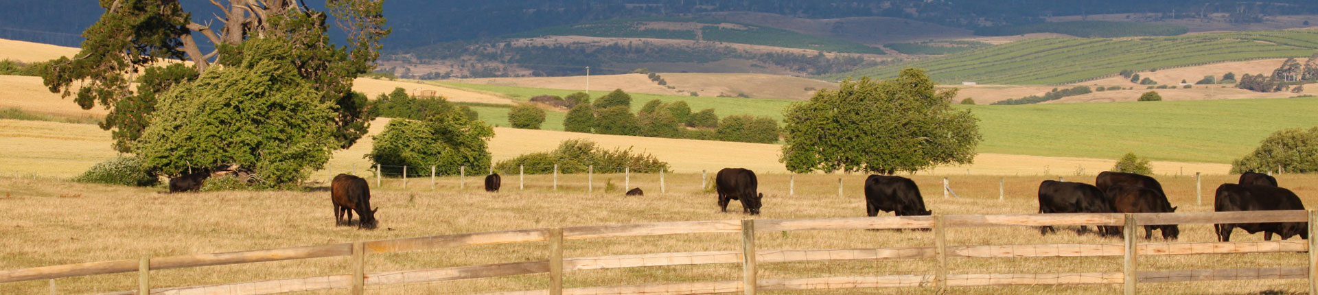 Agricultural 