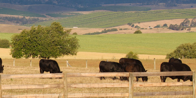 Agricultural 